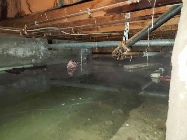 Best Sewage cleanup and water damage restoration  in Harleigh, PA