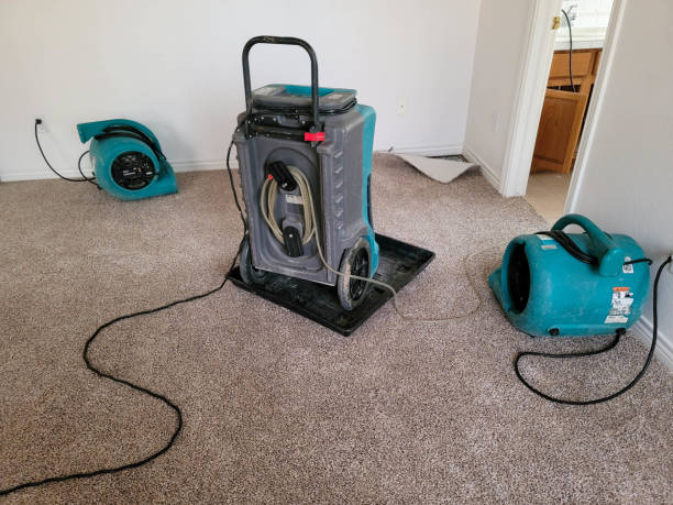 Reliable Harleigh, PA Water damage restoration Solutions