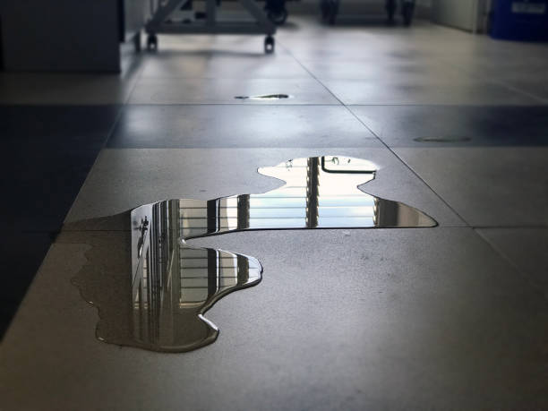 Best Professional water damage repair  in Harleigh, PA