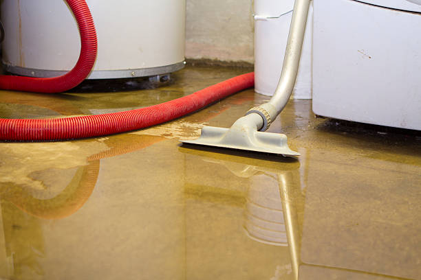 Local water damage restoration in Harleigh, PA