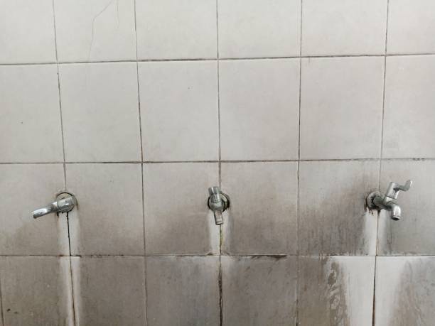 Best Water damage restoration mold remediation  in Harleigh, PA