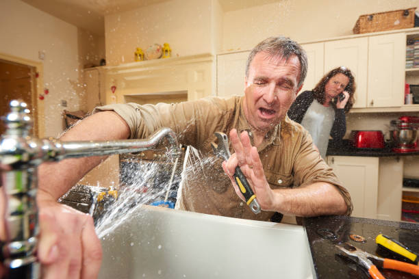 Best Flooded house restoration  in Harleigh, PA